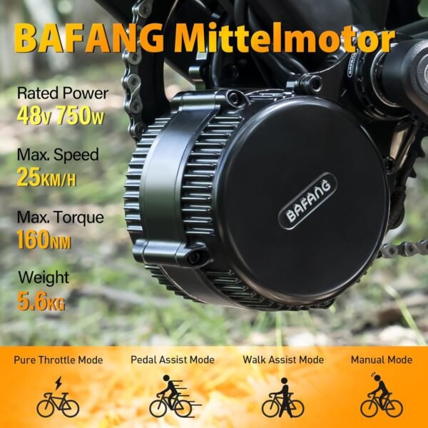 Bafang Electric Bike Conversion Kit Mid Motor BBS-HD 48 V 1000 W Motor Accessories Display Optional Kit Downtube Battery 3 71pbvisn9zL. AC SL1500