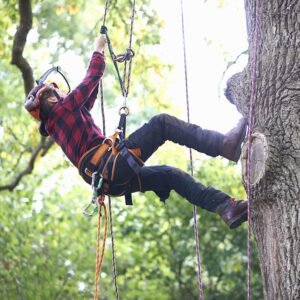 SOB Aluminum Alloy Rappel Ring Equipment Climbing Belay Rappel O-Ring Connection Ring for Rock Climbing, Arborist, Rescue, Hammock Slackline Tension, Set of 2 - Image 3