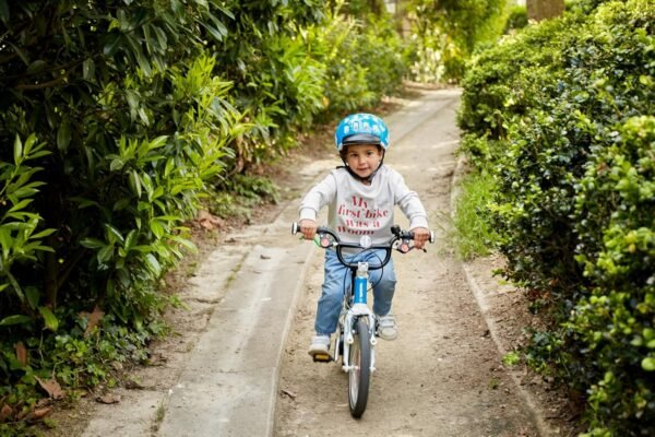 woom 2 Children’s Bicycle for Kids 3-4.5 Years Old, 14-Inch Wheels, Lightweight Bike with Handbrake & Chain Guard, Boys & Girls - Red 10 916Y6JjURBL. AC SL1500