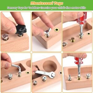 Wooderma Montessori Screwdriver Board Set, Wooden Montessori Toys for 3 4 5 Year Old, Toddler Screwdriver Toy, Kids Tool Set, Preschool Learning Sensory Toy, Fine Motor Skills Toys - Image 5