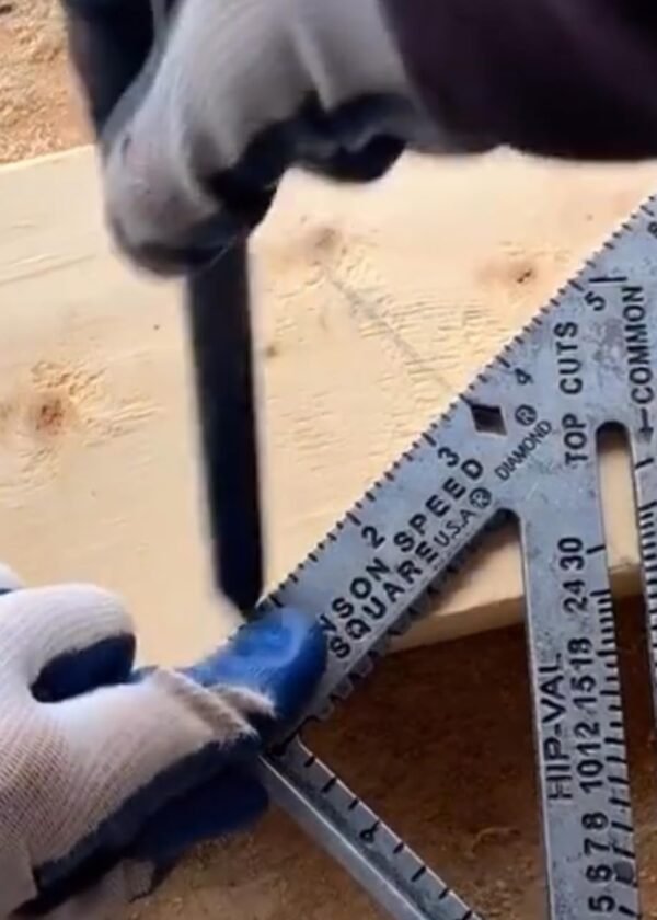 61ZijaIzxxL. AC SL1283