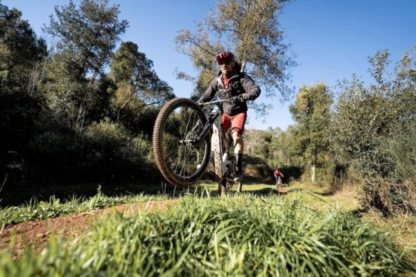 91mB+rKnjyL. AC SL1500