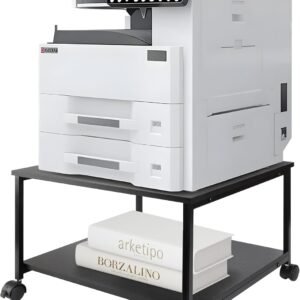 EMERIT 2-Tier Under Workdesk Laser printer Stand up w/Storage – 19.5 x19.5 x12.8″ Sturdy Rolling Pushcart, Mobile Laser Printer Desk along with Lockable Tires for Office Association – Industrial Design